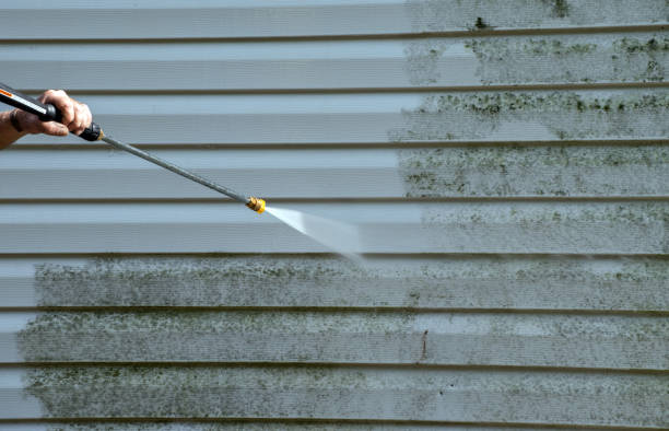 Best Driveway Pressure Washing  in Central Park, WA
