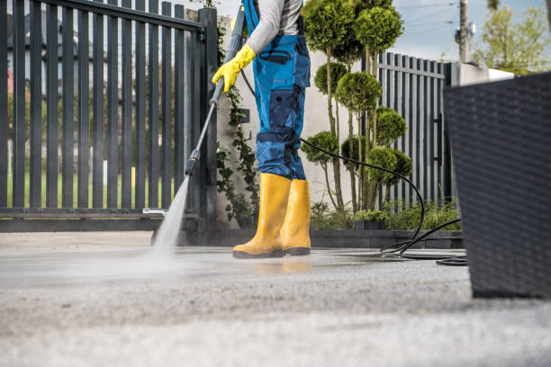 Best Sidewalk and Walkway Cleaning  in Central Park, WA